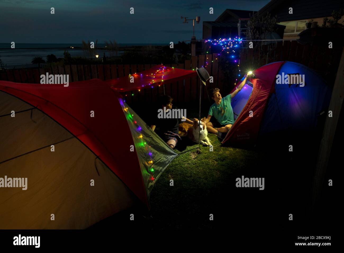 Camping in einem Garten in der Abenddämmerung, Nelson, Neuseeland Stockfoto