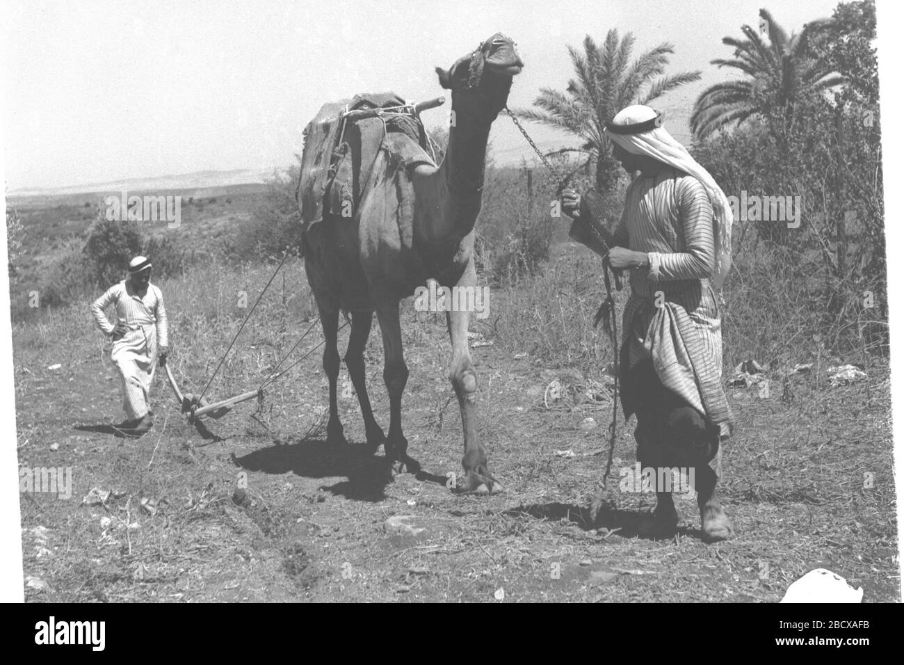Englisch Arabische Bauern Pflugen Ihr Land E O O O U U O O U E O U O I C O U E I U U E U O C I I I U U 01 09 1939 Erhaltlich Bei Der Staatlichen Fotosammlung Israels Pressestelle Fur