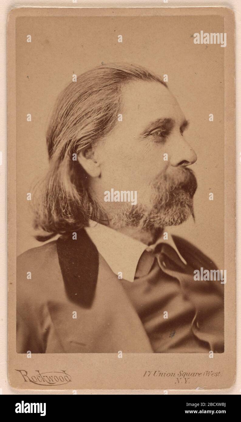 Henry Wheeler Shaw. S/NPG.77.162 Stockfoto