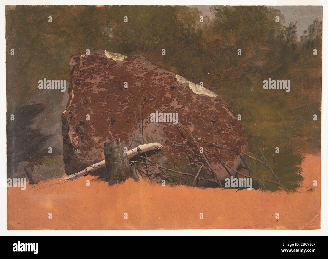 Möglicherweise Mt Desert Island Rock. Recherchen in ProgressHorizontal Bild eines großen Felsboulders vor einem bewaldeten Hintergrund. Davor stehen ein Hocker und trockene Äste. Die lateriöse Grundfarbe ist unten abgebildet. Möglicherweise Mt Desert Island Rock Stockfoto