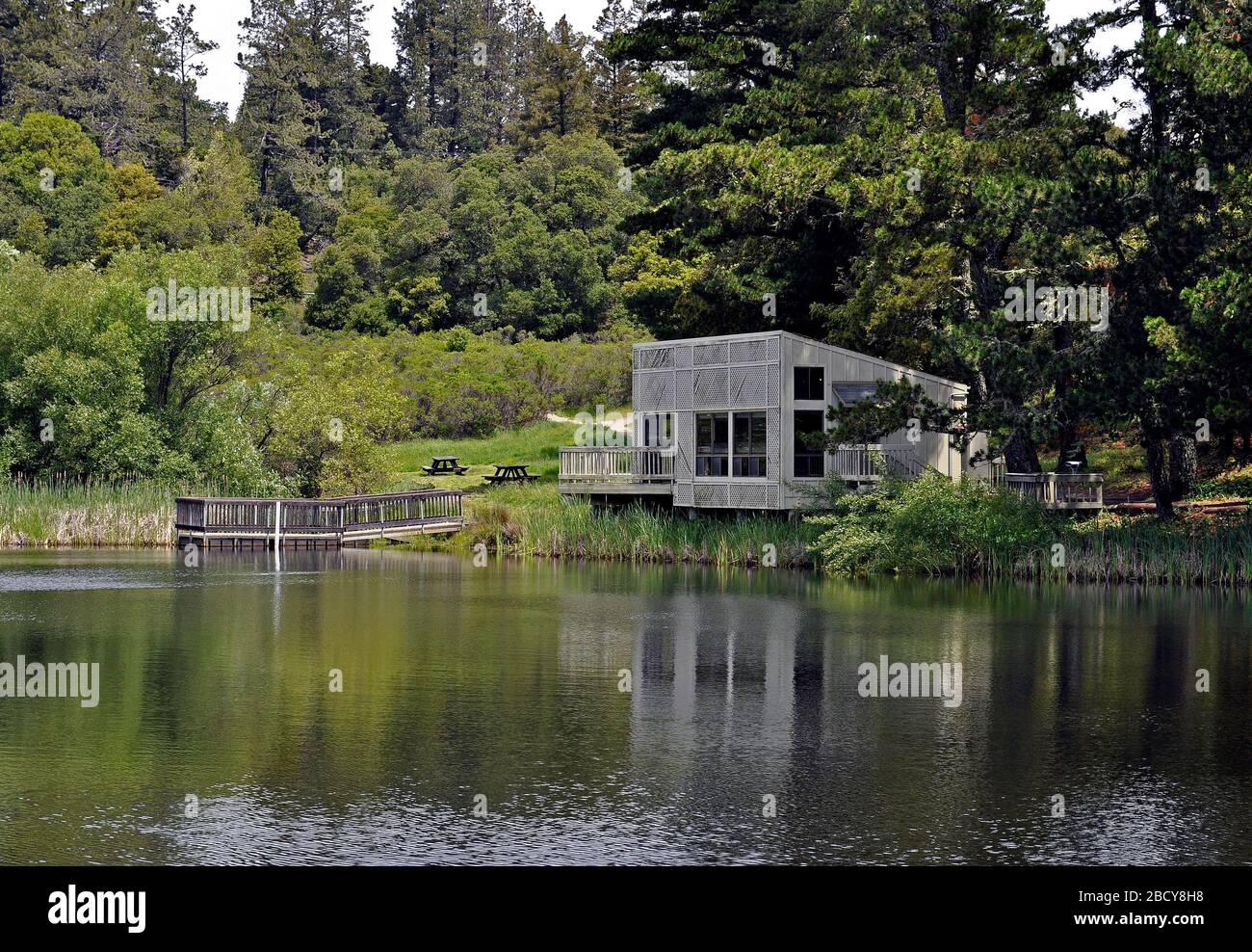 David C. Daniels Nature Center, Alpine Pond, Mid-Peninsula Regional Open Space District, Kalifornien Stockfoto