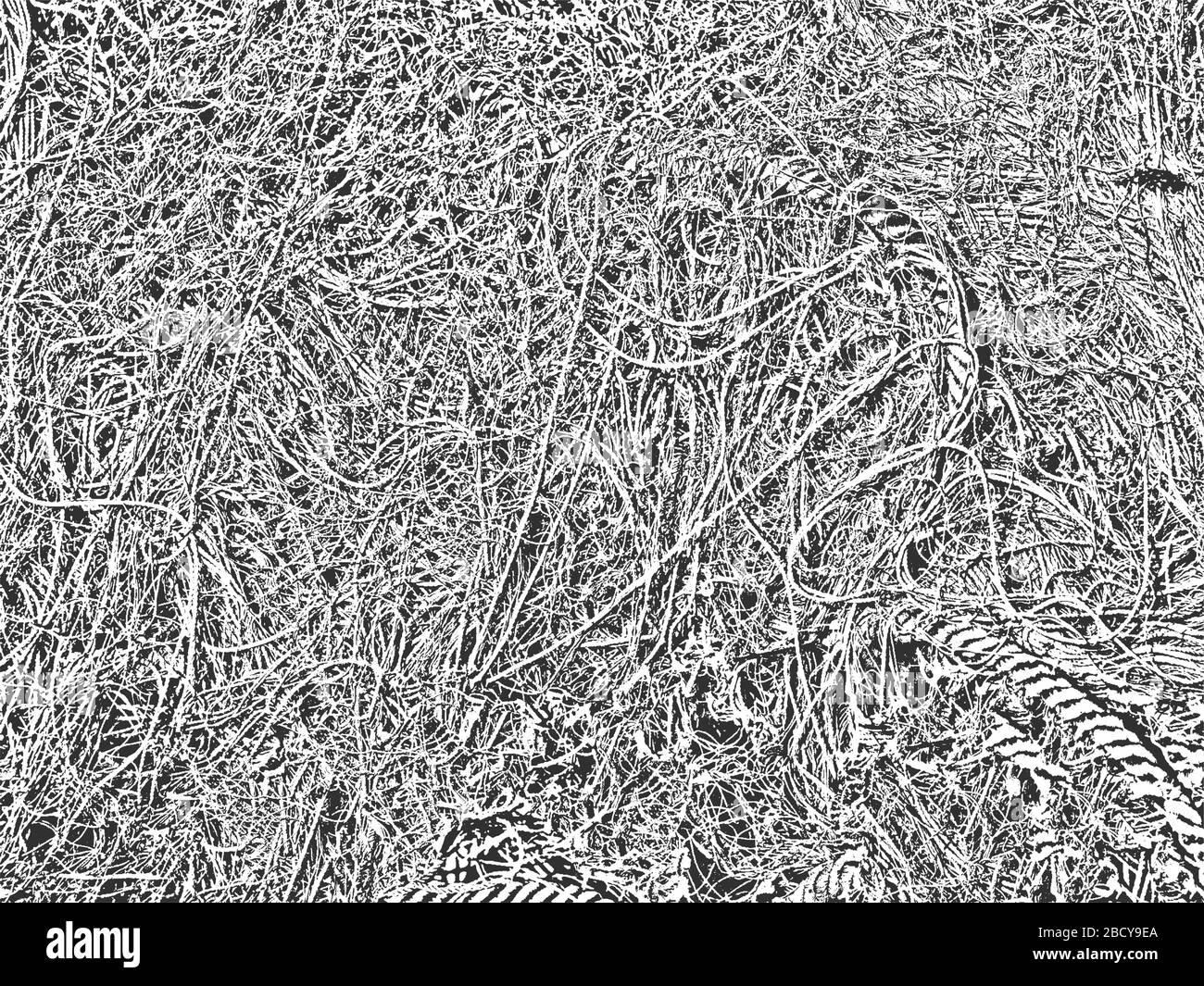 Bedrängnis Grunge Vektor-Struktur des Seils. Schwarz-Weiß-Hintergrund. EPS 8-Abbildung Stock Vektor