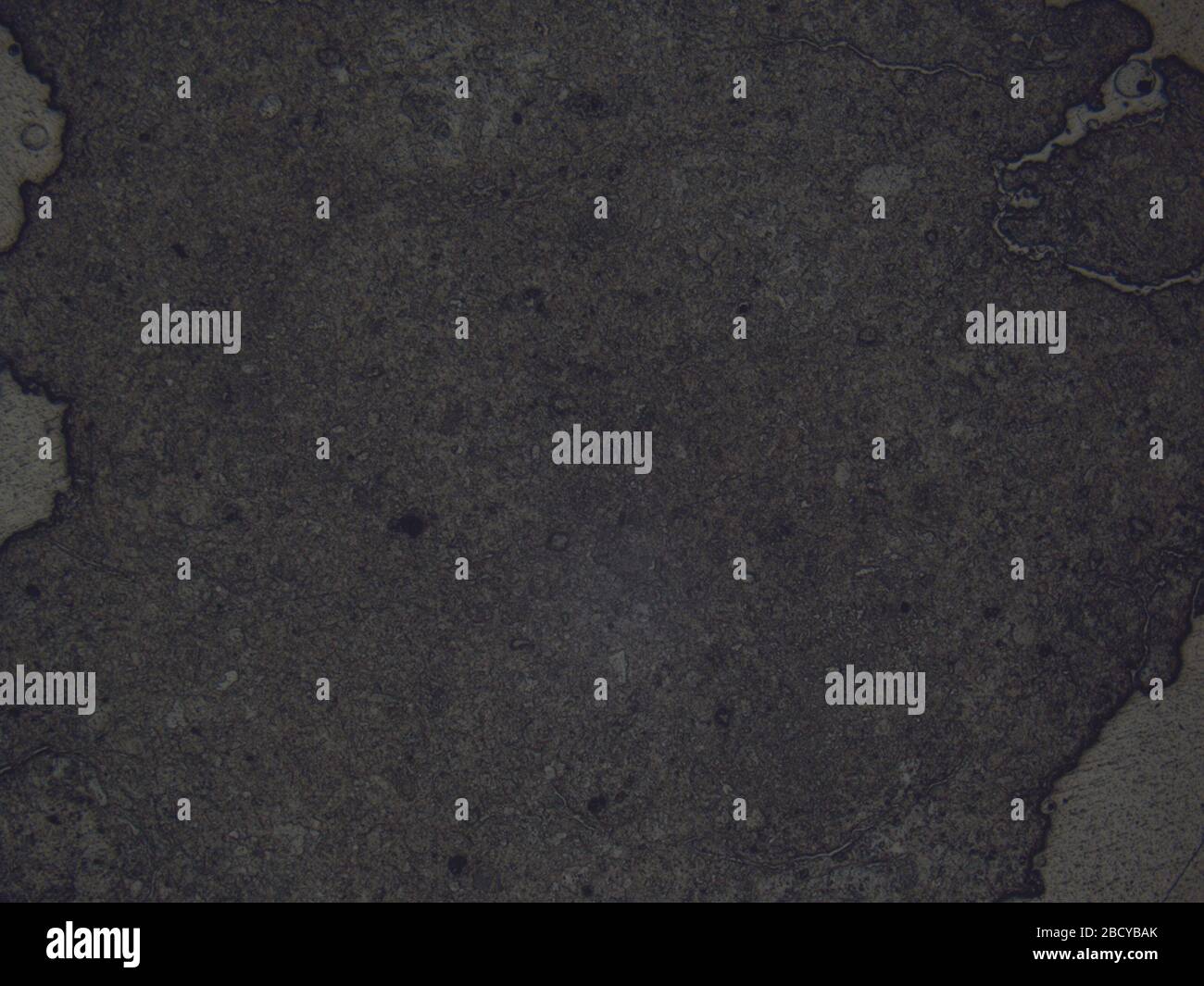 ALH 840491. August 20181 ALH 840491 Stockfoto