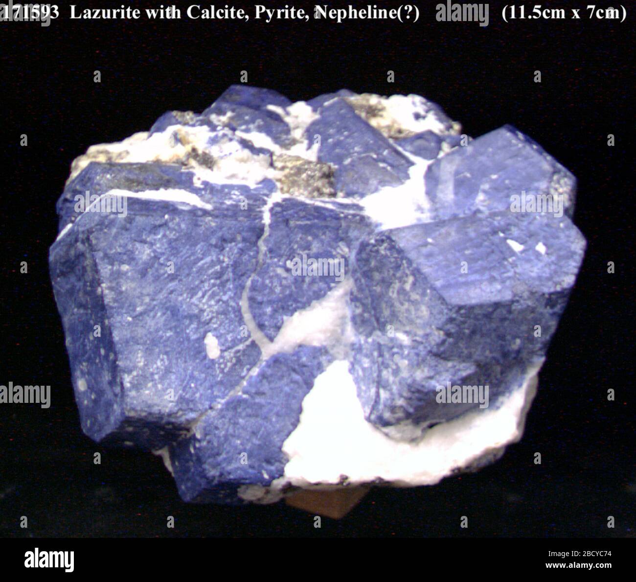 Lazurit mit Calcit, Pyrit und Nephelin (NMNH 171593-00) aus der nationalen Mineralsammlung. Lazurite Stockfoto