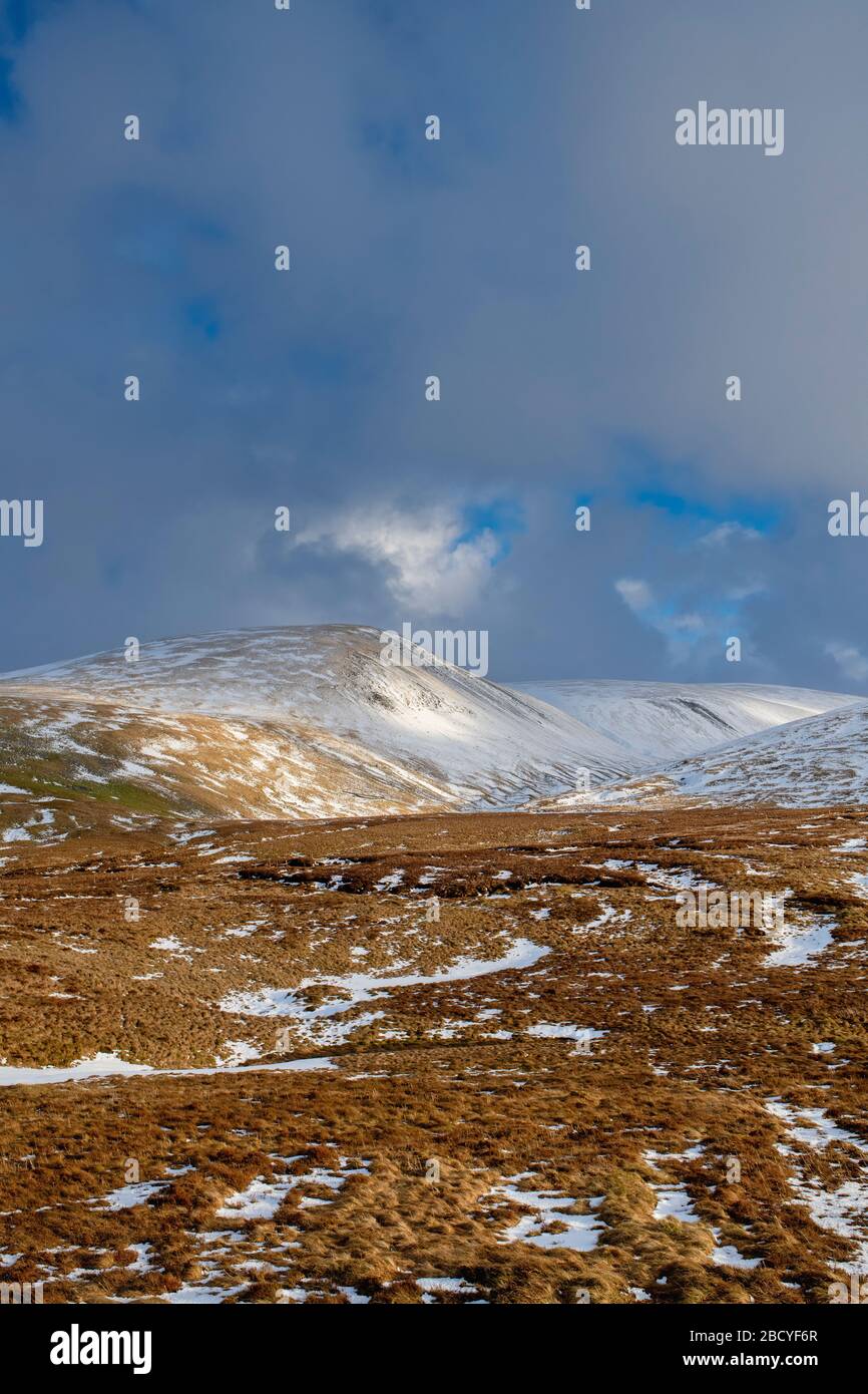 Schneebedeckte Hügel im Nachmittagssonnenlicht über talla Leinfüßchen. Schottische Grenzen. Schottland Stockfoto