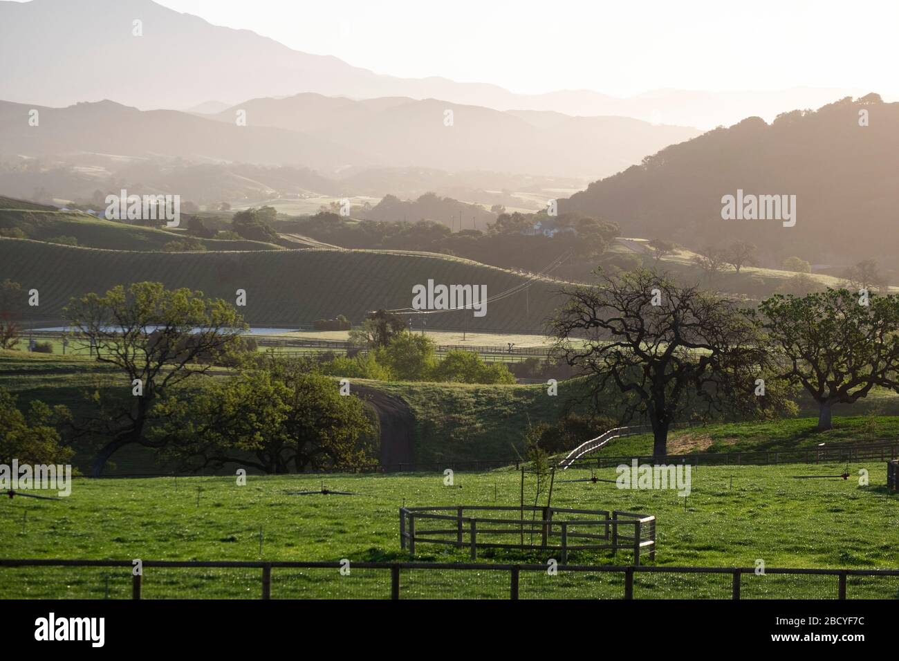 Blick auf Felder und Eichen im Santa Ynez Valley in Kalifornien Stockfoto