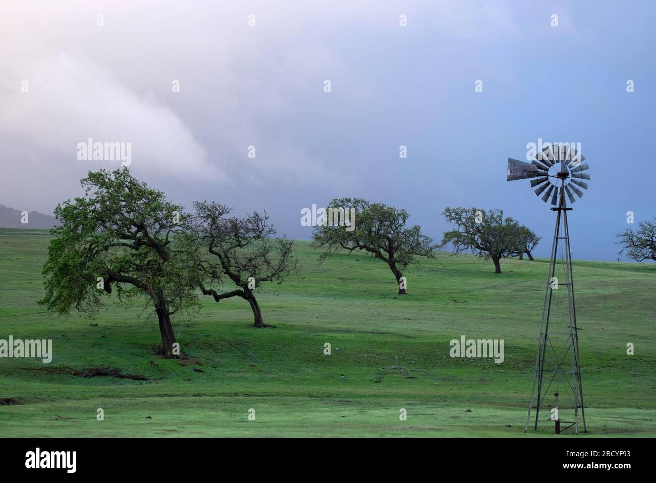 Pastoralszenen des Frühlings mit Eichen im Santa Ynez Valley in Kalifornien Stockfoto