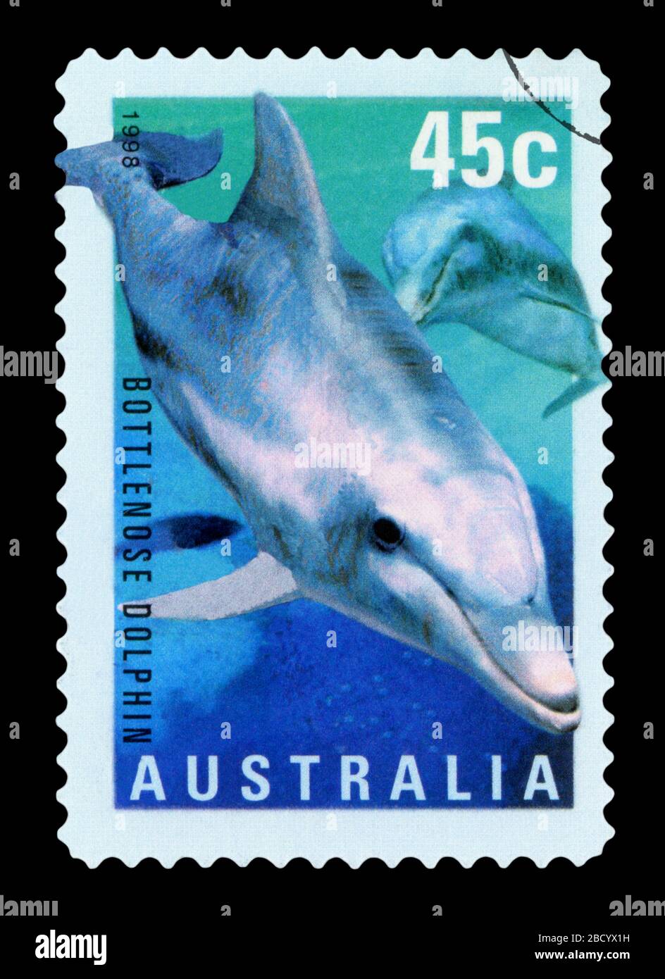 Australien - ca. 1998: einen Stempel in Australien, Große Tümmler, circa 1998 gedruckt. Stockfoto
