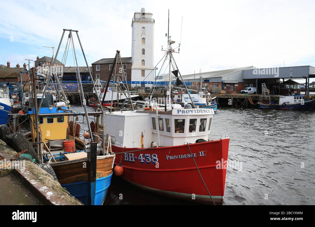Fischerboote am North Shields Fish Quay am Ufer des Flusses Tyne in Nordostengland. Da die Exportmärkte nach Europa und China ruiniert sind, Restaurants und Chippies geschlossen sind, die Gastlichkeit geschlossen ist und viele Supermärkte ihre Fischzähler nicht besetzen, haben die Skipper beschlossen, ihre Schiffe zusammengebunden zu halten. Stockfoto