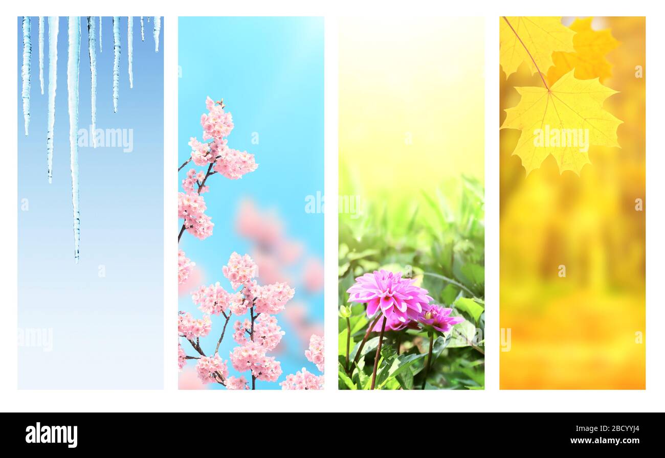 Vier Jahreszeiten. Satz vertikaler Naturbanner mit Winter-, Frühlings-, Sommer- und Herbstszenen. Platz für Text kopieren Stockfoto