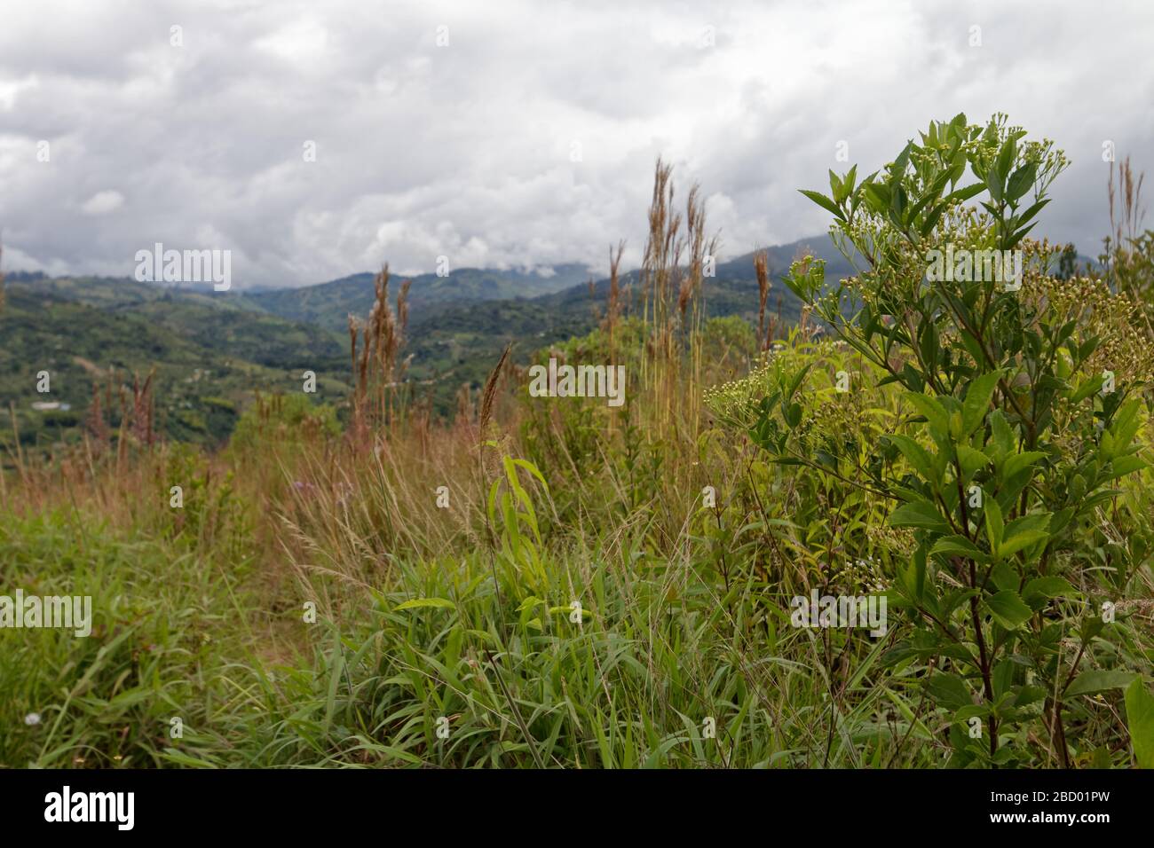 Kolumbianische Paramolandschaft direkt vor San Agustin Stockfoto
