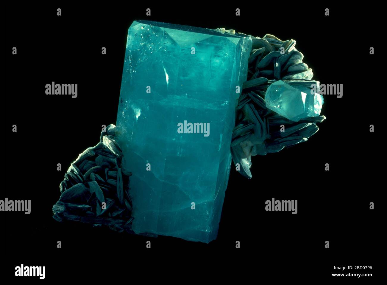 Foto von Aquamarin in Glimmer (168412) aus der nationalen Mineralsammlung Beryl var Aquamarin Stockfoto