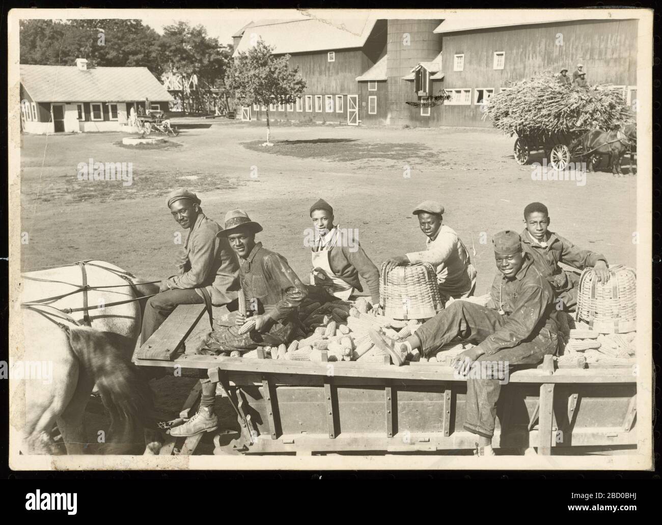 Ohne Titel. Ein Gelatinesilberdruck von sechs jungen Männern, die auf einem Pferdewagen mit Maisohren in der Manual Training and Industrial School for Colored Youth in Bordentown, New Jersey, fahren. Ohne Titel Stockfoto