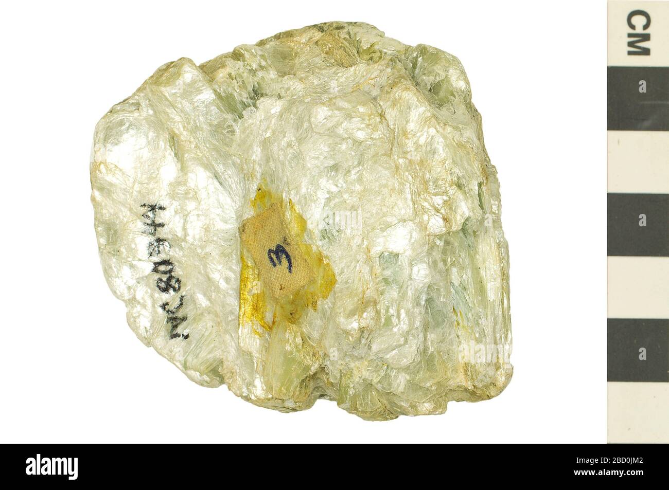 Phyllosilikatmineral Talk. EO 080344 Silicate Mineral Talc 002.jpg Stockfoto