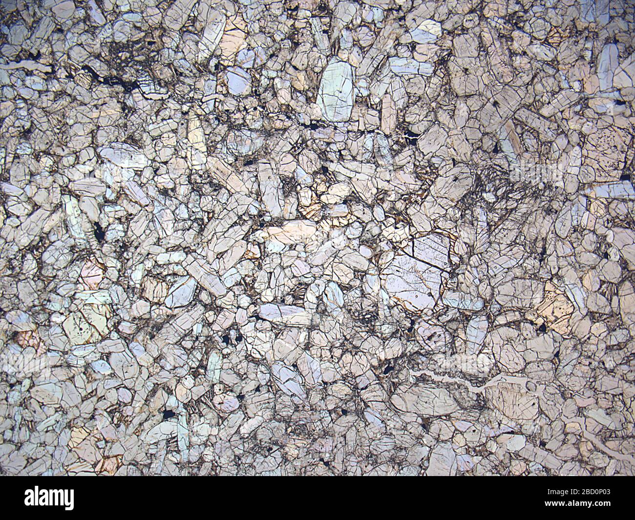 Nakhla. 23. August 20183579941 Nakhla Stockfoto