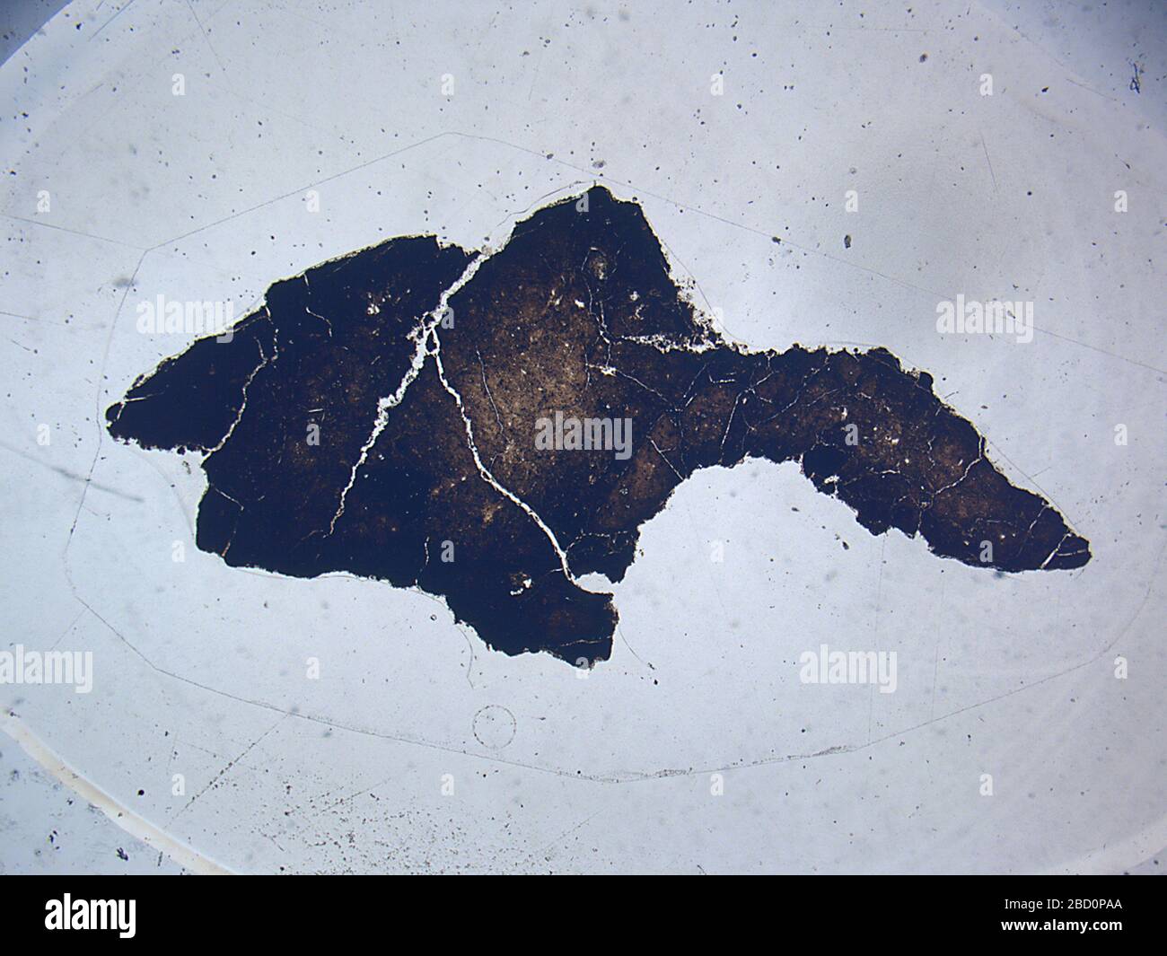 Orgueil. 23. August 201830173821 Orgueil Stockfoto