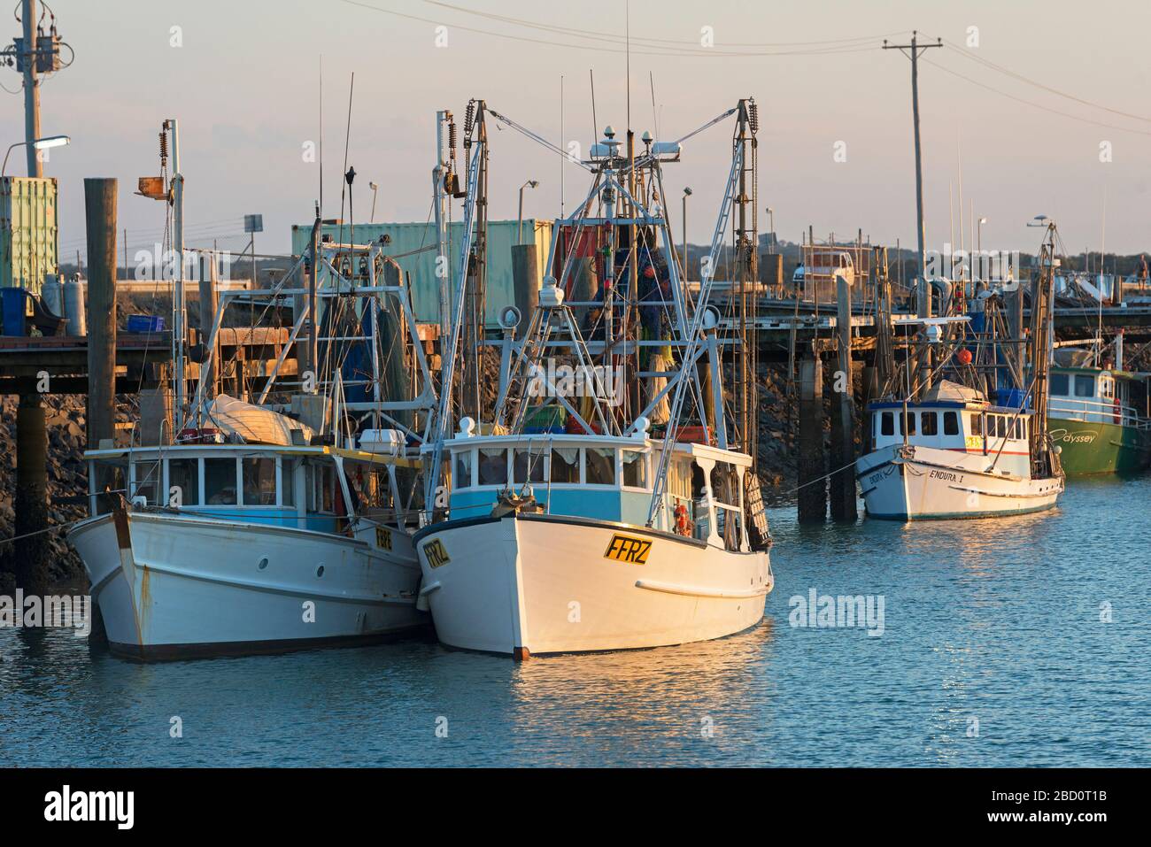 Fischerboote am Urangan Boat Harbor, Hervey Bay, Queensland, Australien Stockfoto