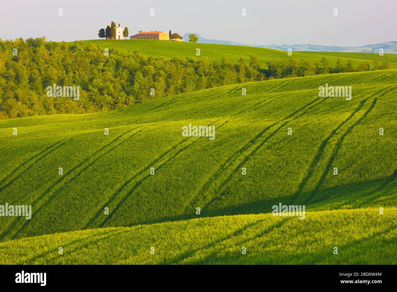 Italien, Toskana, Val d'Orcia, Pienza, Vitaleta-Kapelle, Feld Stockfoto