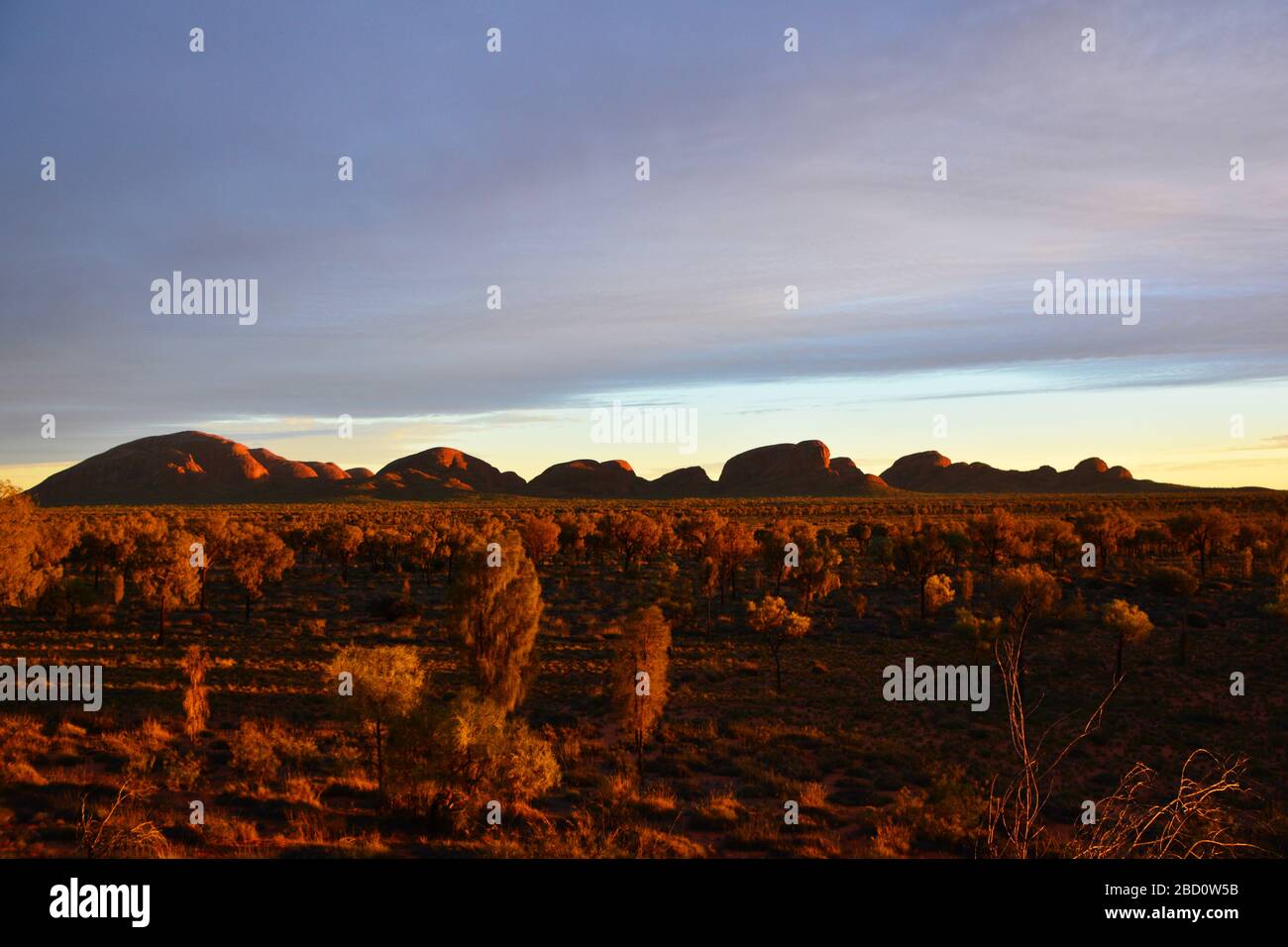 Kata Tjuta, Australien; Panoramablick am frühen Morgen Sonnenaufgang auf der Olgas, einer großen gewölbten Felsformation im Northern Territory, die DIS Stockfoto