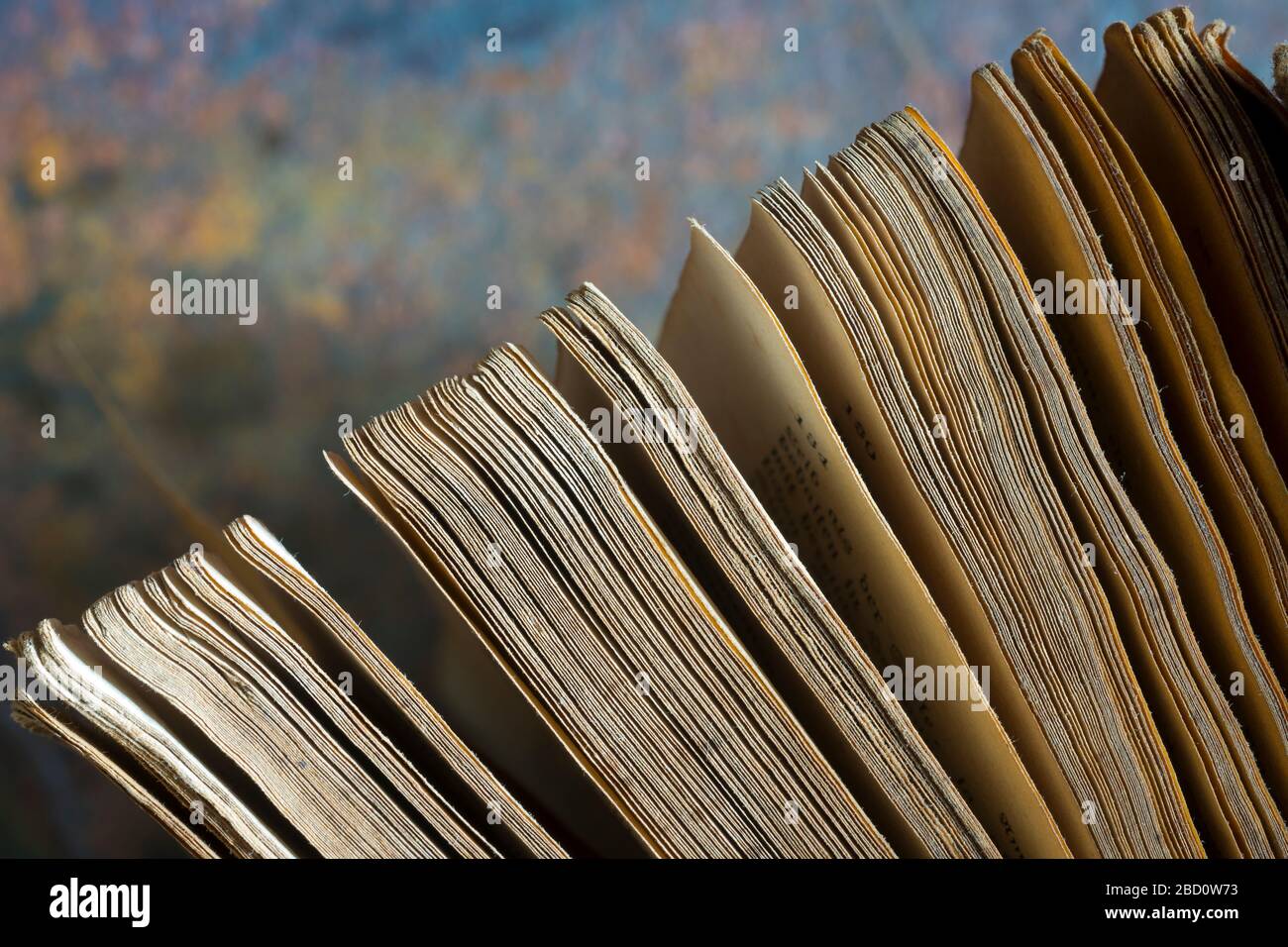 Altes Buch, Nahaufnahme von Seiten Stockfoto