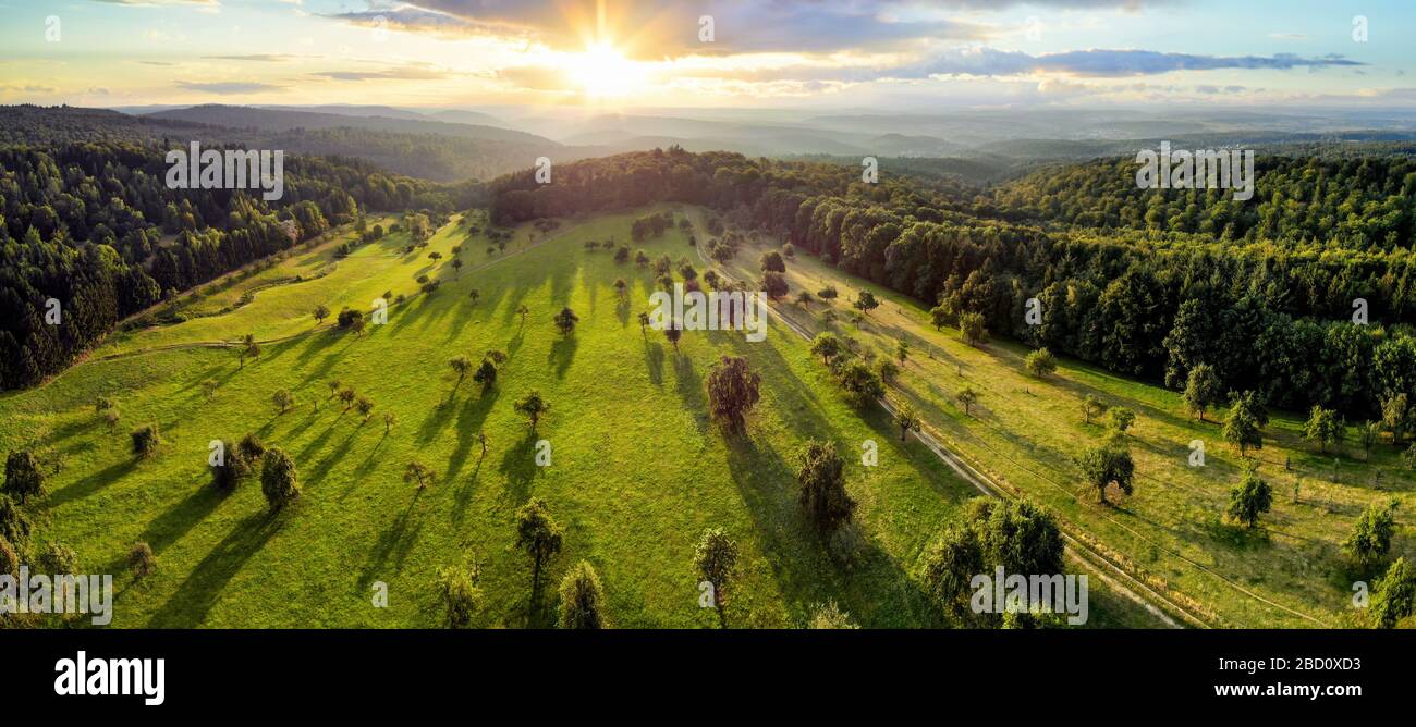 Luftlandschaftspanorama nach Sonnenaufgang: Herrliche Landschaft mit der Sonne, Bäume auf Wiesen, die lange Schatten werfen, umgeben von Wald Stockfoto