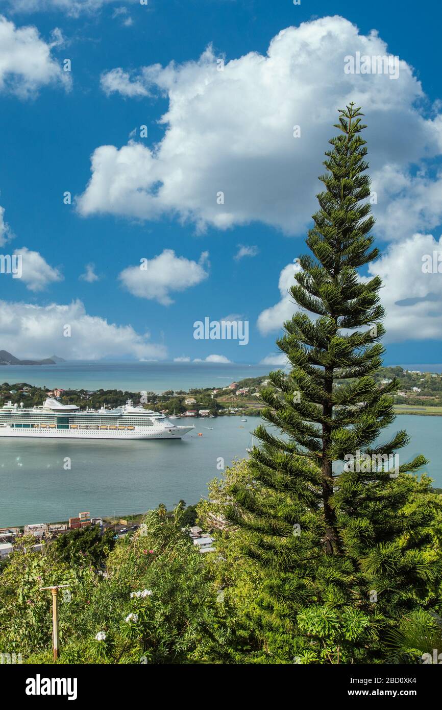 Tannenbaum auf dem St Croix Hill mit Kreuzfahrtschiff Stockfoto