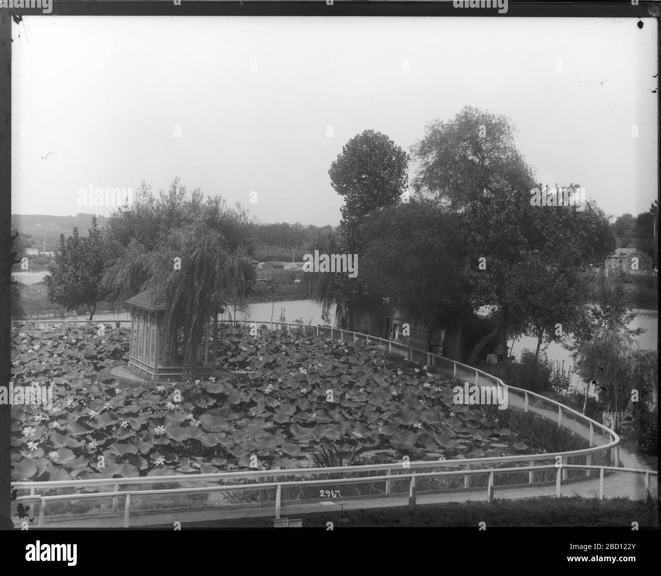 United States Fish Commission Hatchery Teiche. U.S. Fish Commission Fischzuchtteiche zur Herstellung von Karpfen, goldenem ide und Tench, in der Nähe des Bundesgeländes Washington Monument.Smithsonian Institution Archives, ACC. 11-006, Feld 006, Bild-Nr. MAH-2967 Stockfoto