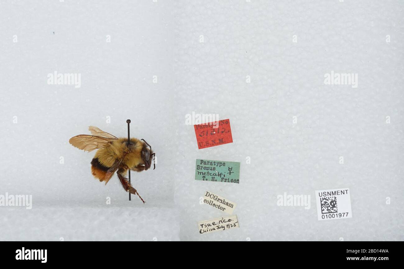 H symbol identifikation -Fotos und -Bildmaterial in hoher Auflösung – Alamy