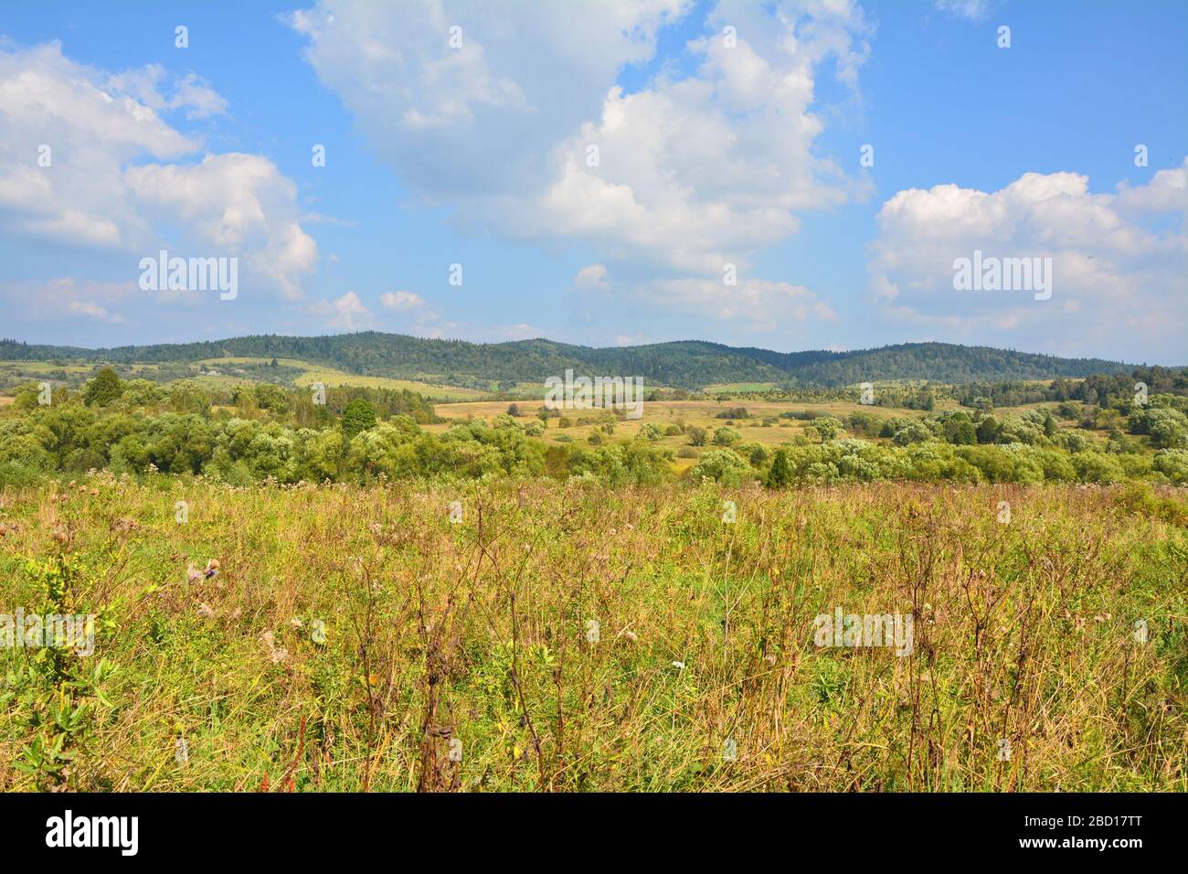 Blick auf die Ukraine von der polnischen Grenze Stockfoto