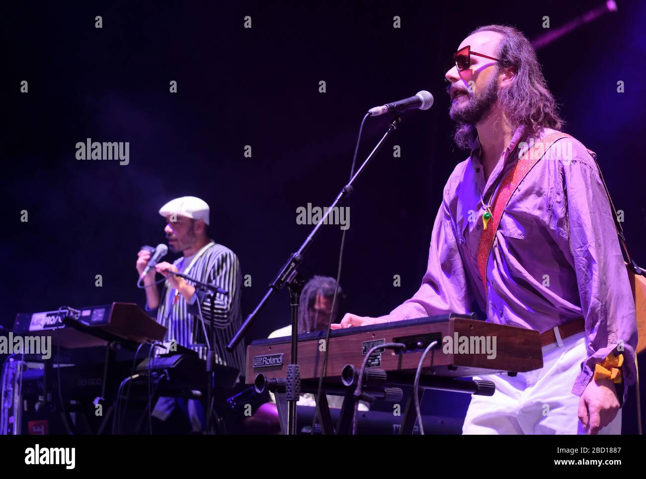 ARP Frique & Family trat auf dem WOMAD Festival in Charlton Park, Großbritannien, auf. Juli 2019 Stockfoto