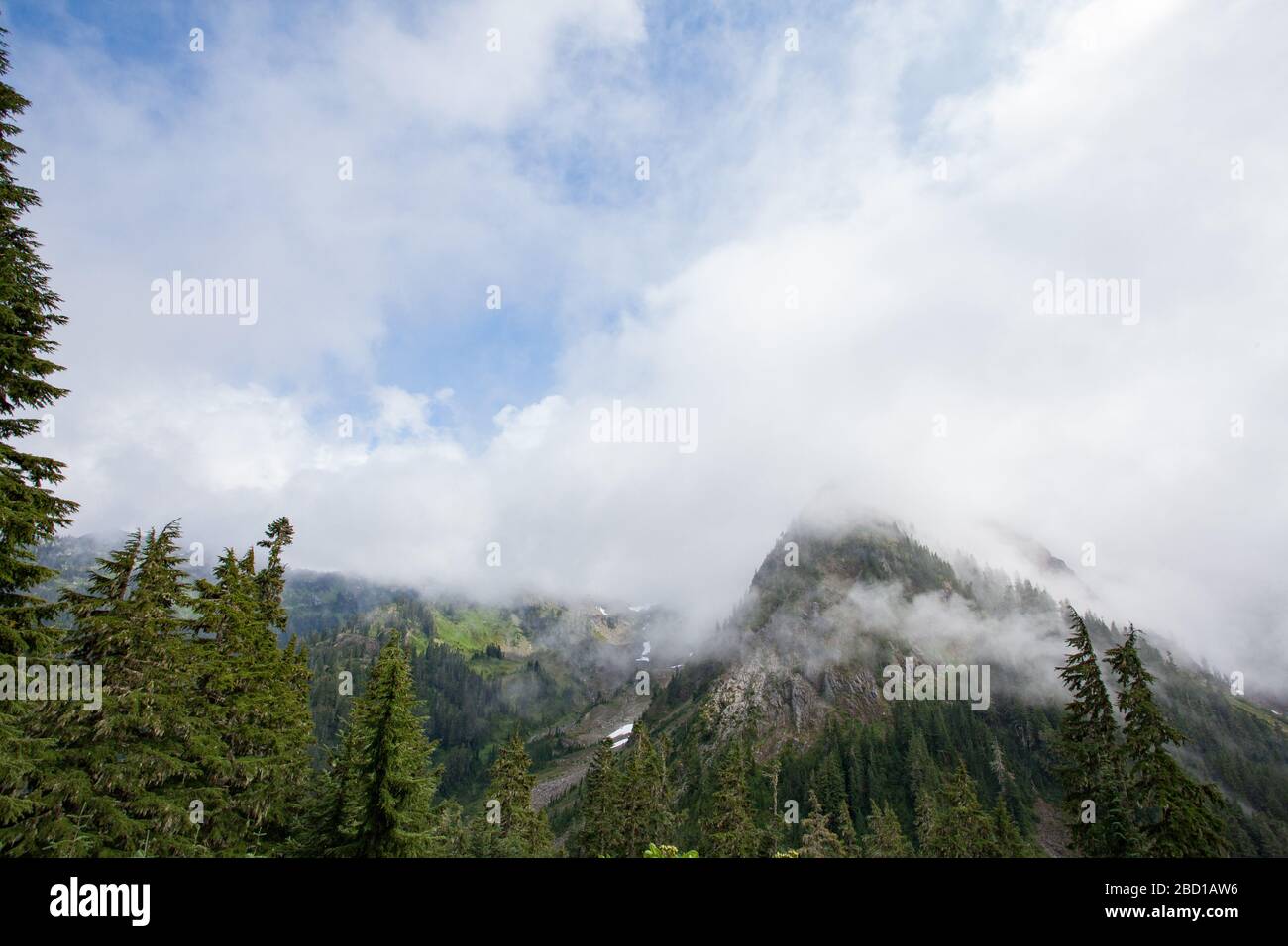 Eine von immergrünen Bäumen umgebene Bergseite ist teilweise von Wolken verdeckt. Stockfoto