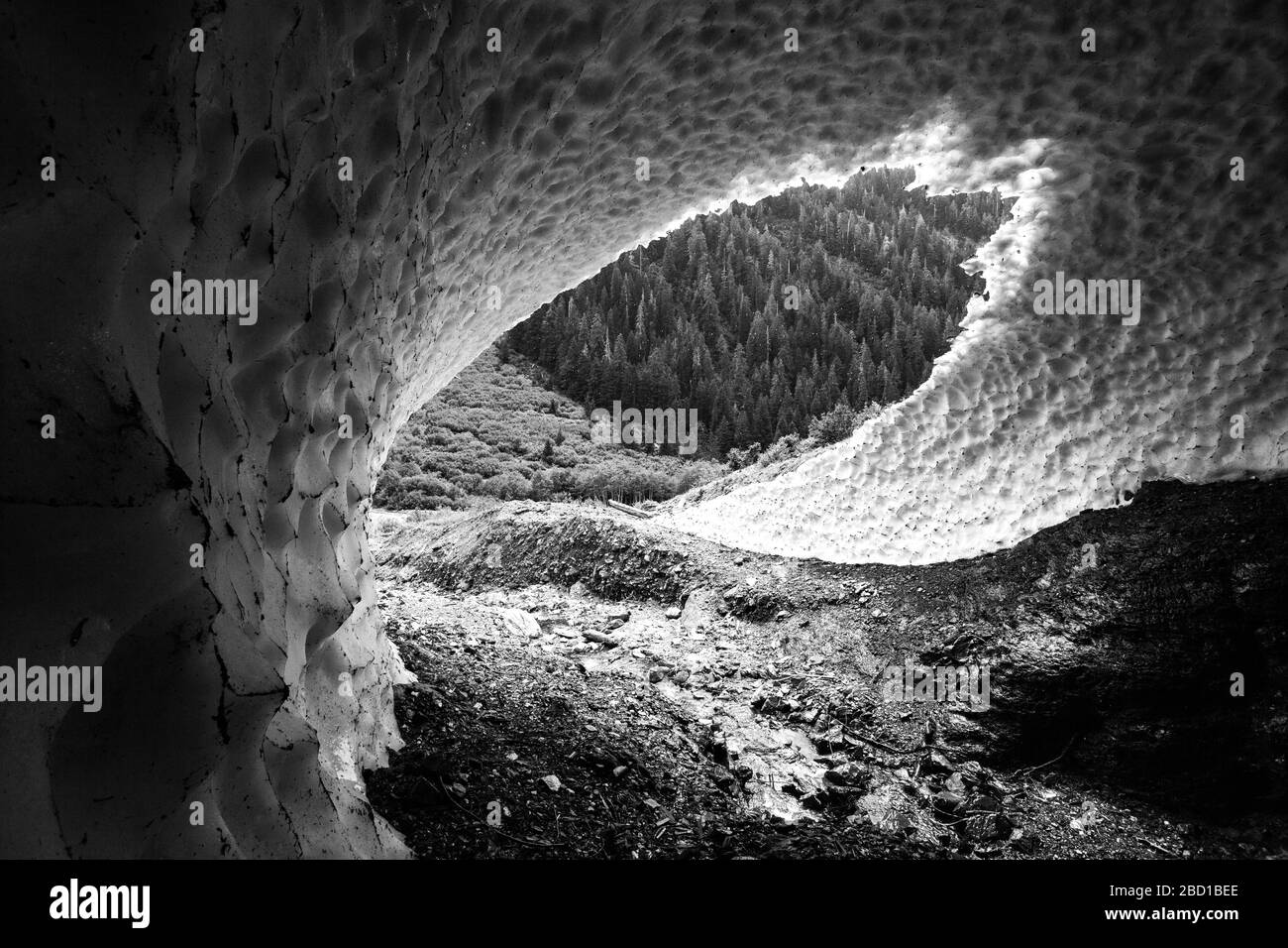 Ein Schwarz-Weiß-Bild von natürlichen Schnee Höhle von einem Bach an der Seite eines Berges geschnitzt, mit einem immergrünen Wald durch die Öffnung sichtbar. Stockfoto