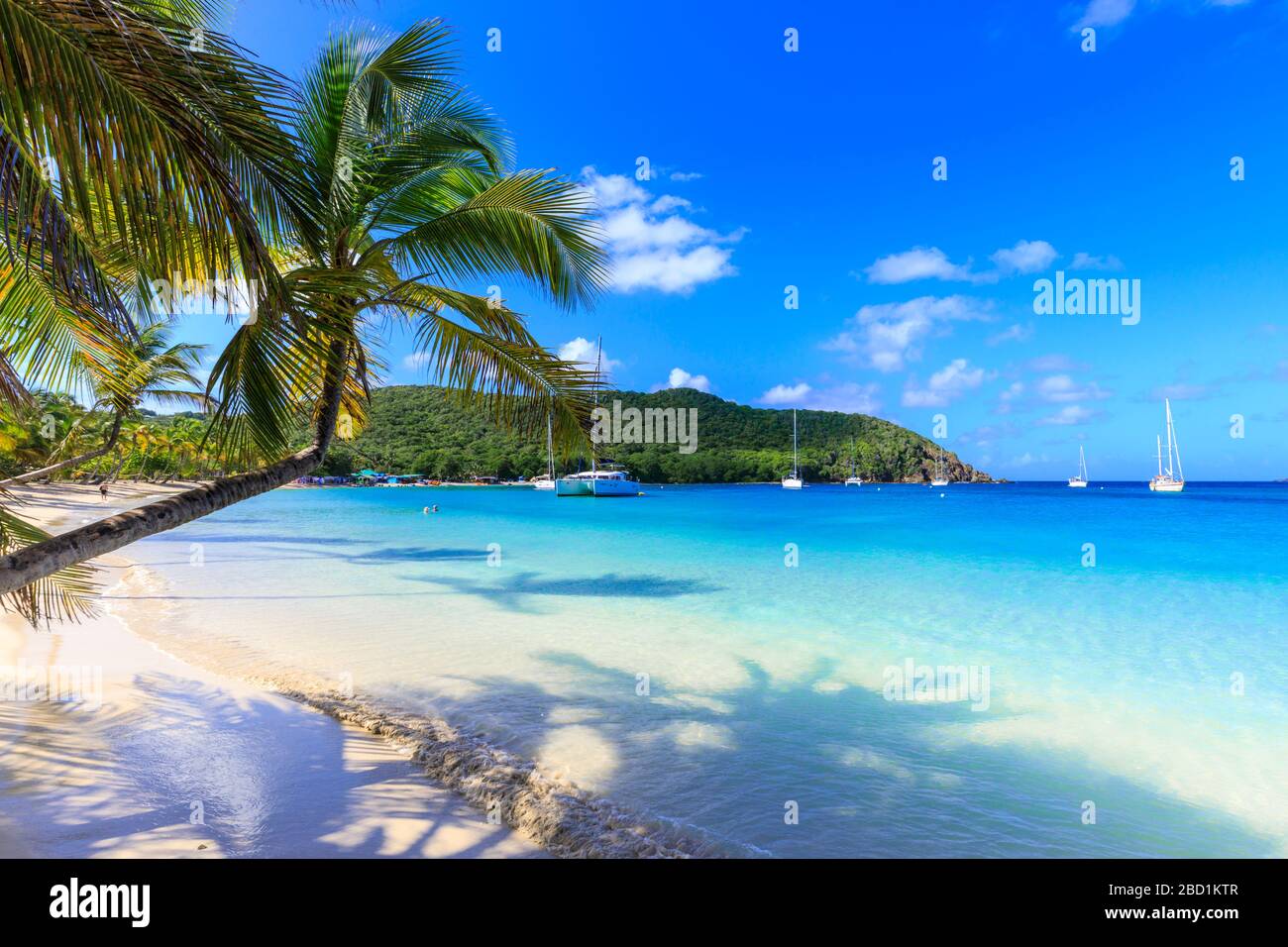 Atemberaubende Saltwhistle Bay, Jachten, weißer Strand, blaues Meer, überhängende Palmen, Mayreau, Grenadinen, St. Vincent und die Grenadinen, Karibik Stockfoto