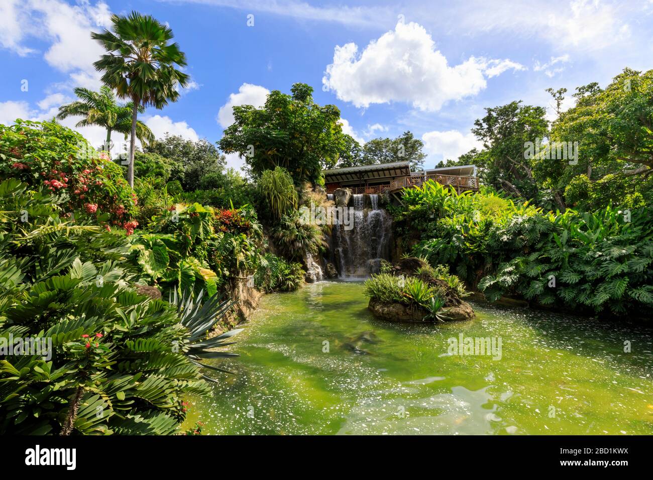 Jardin Botanique de Deshaies, Botanischer Garten, Tod in Paradise Location, Deshaies, Basse Terre, Guadeloupe, Leeward Islands, Karibik Stockfoto