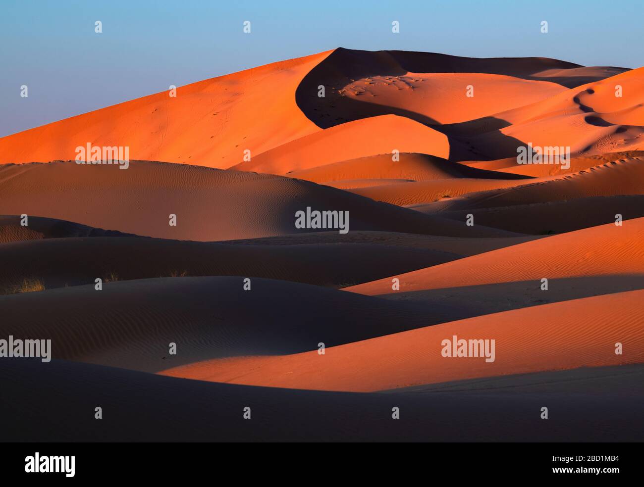 Sanddünen in der Sahara-Wüste, Marokko, Nordafrika, Afrika Stockfoto