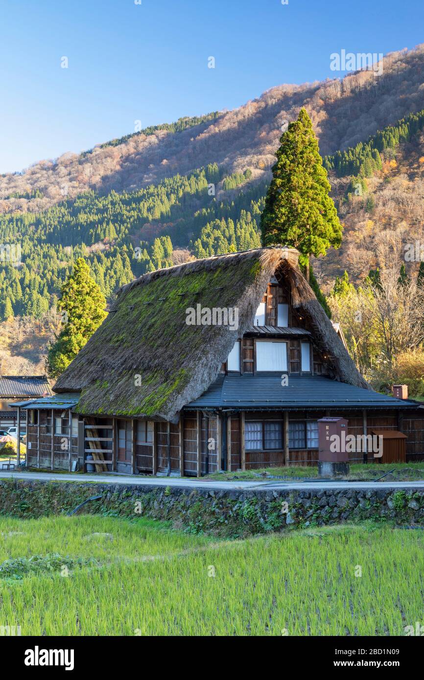 Traditionelle Häuser von Ainokura, UNESCO-Weltkulturerbe, Gokayama, Präfektur Toyama, Honshu, Japan, Asien Stockfoto