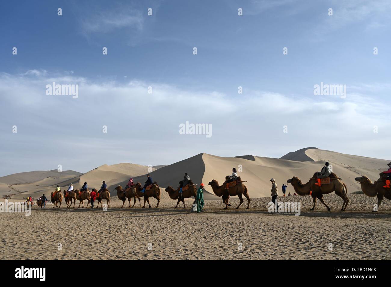 Touristen auf Kamelen, die durch die singenden Sanddünen in Dunhuang, Provinz Nordwest-Gansu, China, Asien geführt werden Stockfoto