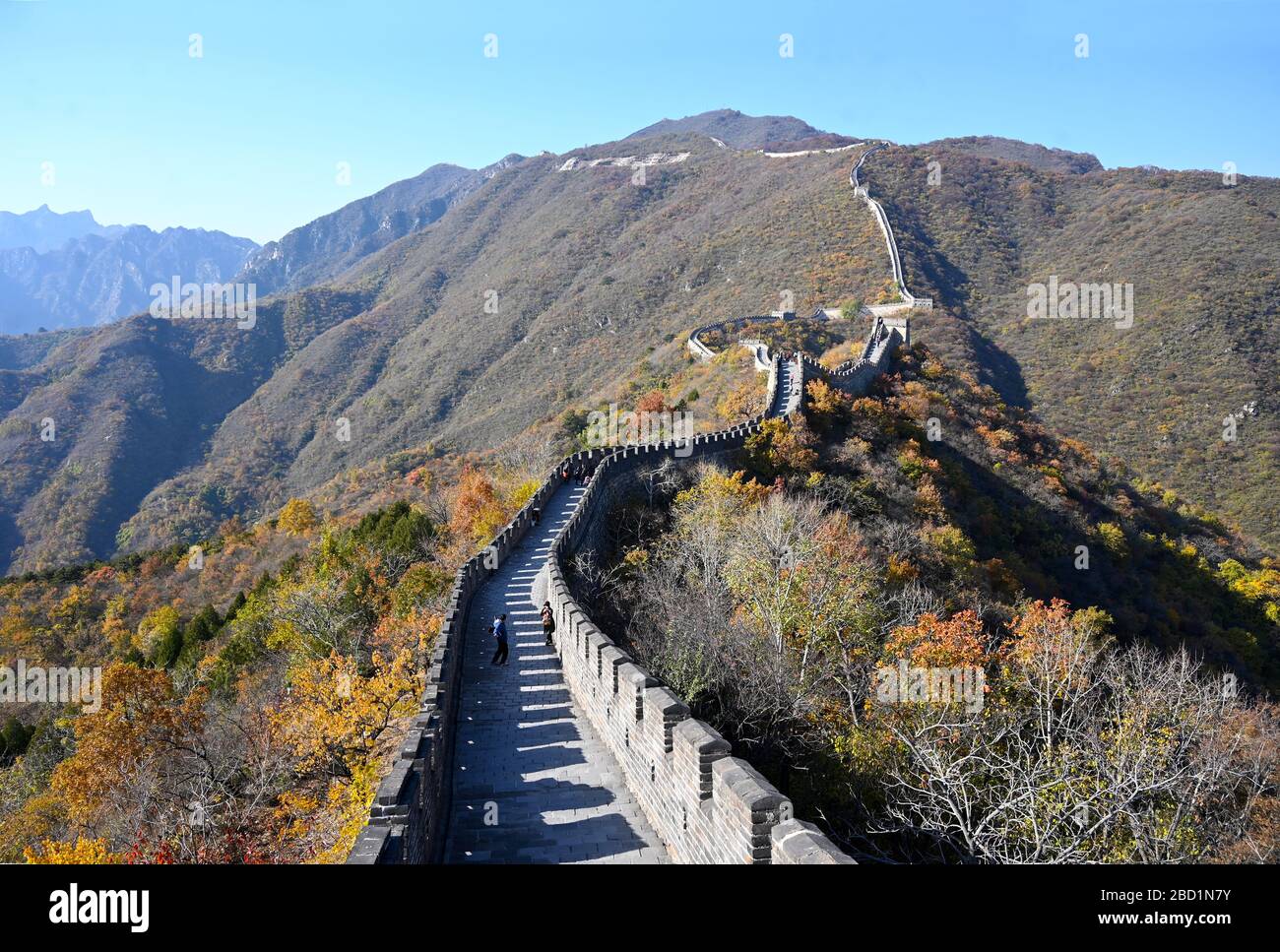 Chinesische Mauer, Mutianyu-Abschnitt, Blick nach Westen in Richtung Jiankou, UNESCO-Weltkulturerbe, Peking, China, Asien Stockfoto