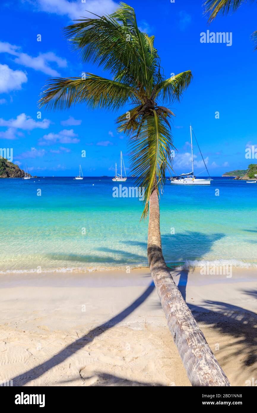Atemberaubende Saltwhistle Bay, Jachten, weißer Strand, blaues Meer, überhängende Palmen, Mayreau, Grenadinen, St. Vincent und die Grenadinen, Karibik Stockfoto