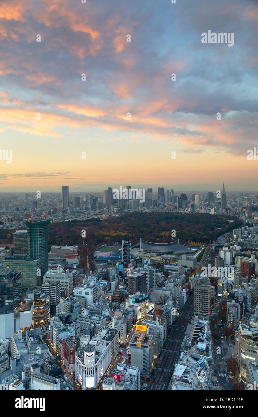 Blick auf die Skyline von Shinjuku und die Innenstadt bei Sonnenuntergang, Tokio, Honshu, Japan, Asien Stockfoto