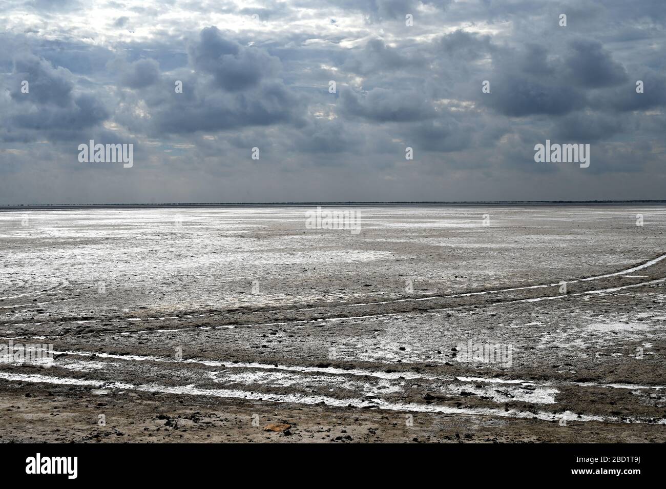 Anormale saisonale Witterung in der weißen Wüste, die verhindert, dass sich die volle Salzdecke ansammelt, Rann of Kutch, Gujarat, Indien, Asien Stockfoto