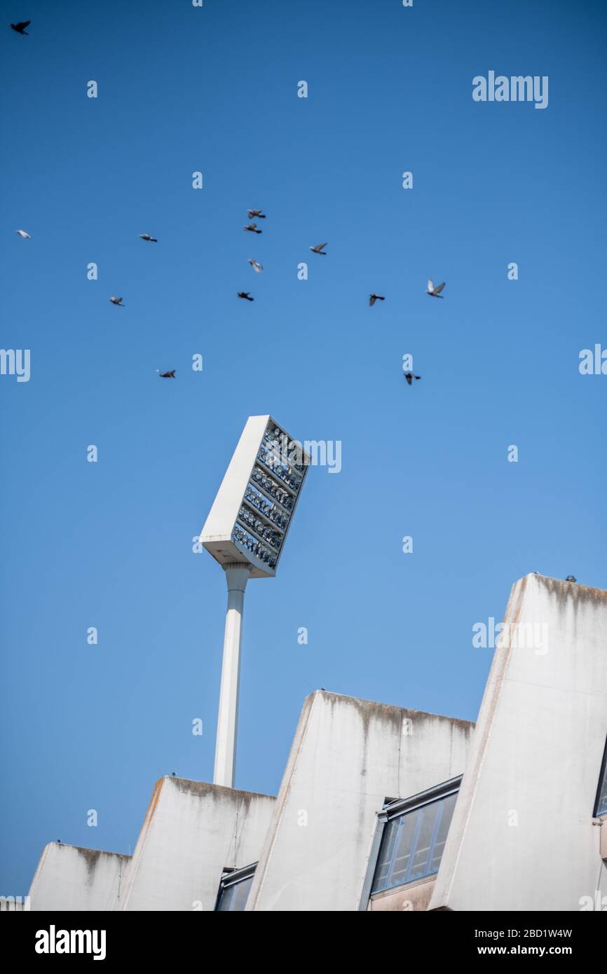 München, Deutschland. April 2020. Tauben fliegen im Ruhrstadion an einem Scheinwerferlicht vorbei. Der Zweitliga-Fußballverein VfL Dortmund ist einer der in der Corona-Krise stark gefährdeten Vereine. Bereits im Mai 2020 könnte dem ehemaligen Bundesligisten im schlimmsten Fall die Zahlungsunfähigkeit drohen. Kredit: Fabian Strauch / dpa / Alamy Live News Stockfoto