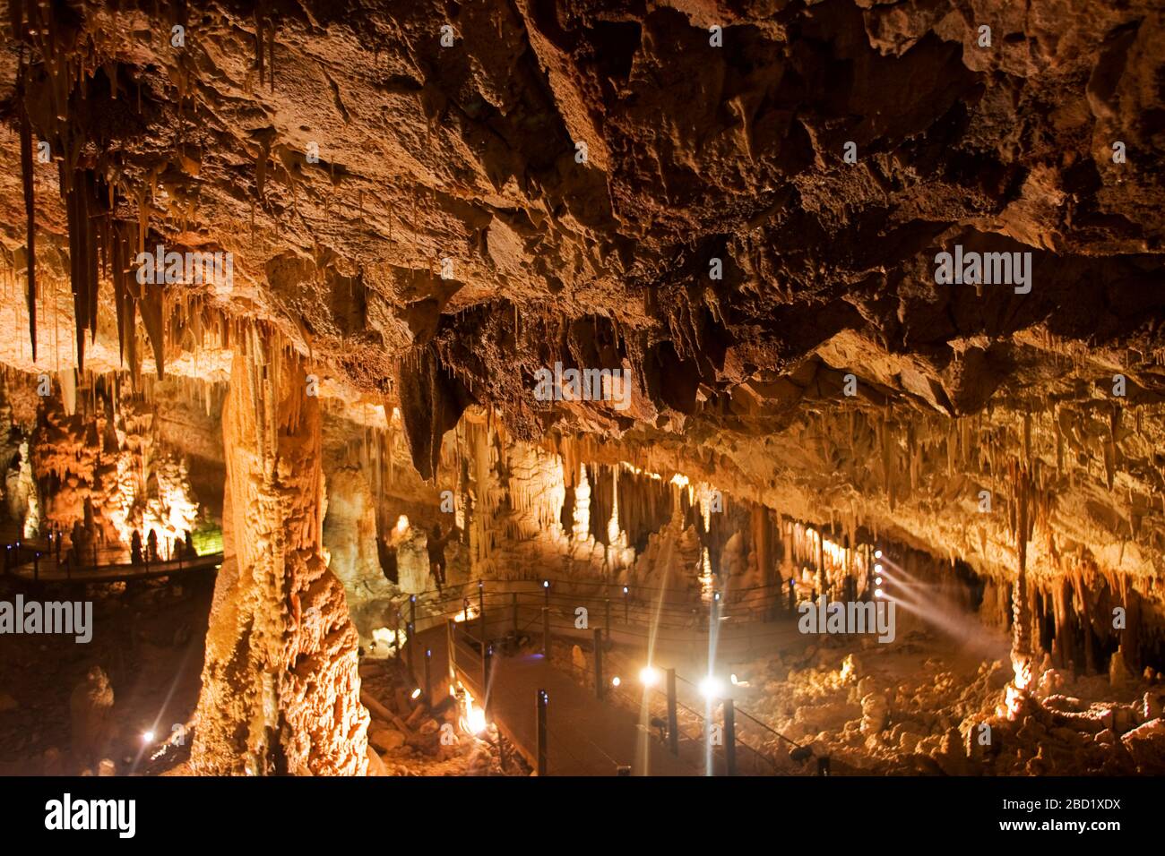 Höhlenkorallen im Soreq Stalactite Cave Nature Reserve (auch Avshalom Cave genannt). Diese 82 Meter lange, 60 Meter breite Höhle liegt an den Westhängen von Stockfoto
