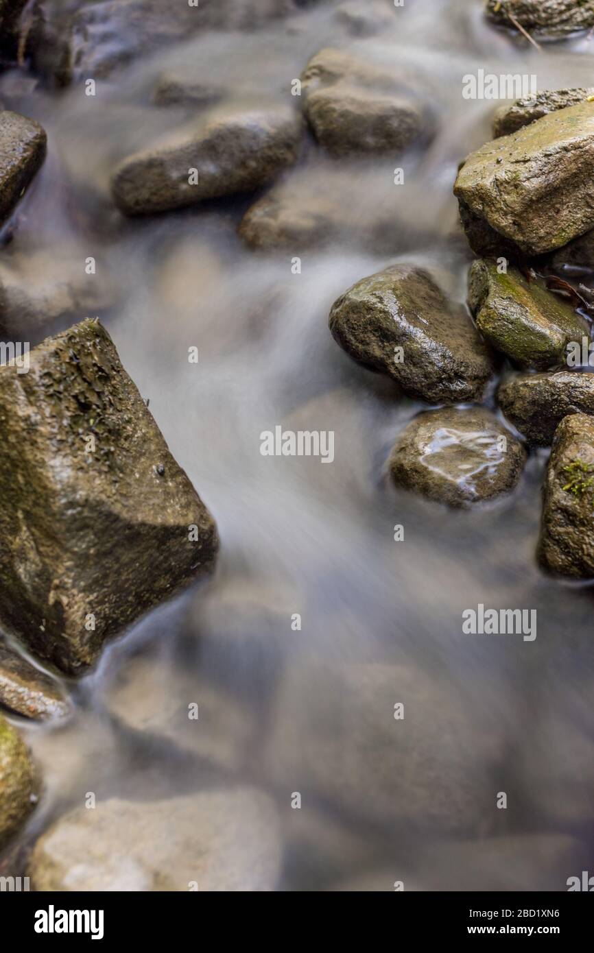 Foto der Natur - lange Einwirkung eines steinigen Gebirgsbaches im Wald. Kleiner felsiger Fluss in den Bergen. Stockfoto