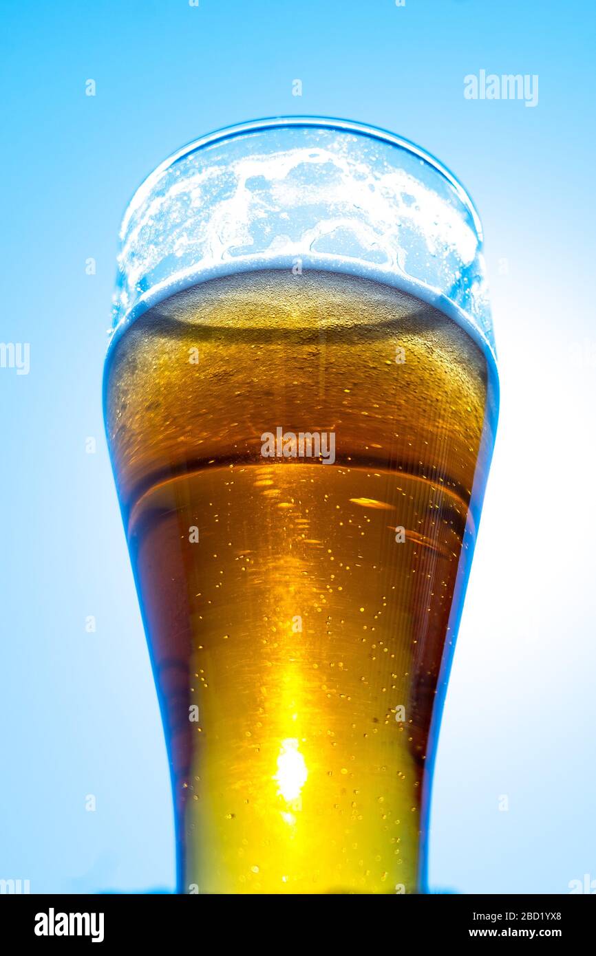 Helles Bier in einem gläsernen Goblet auf blauem Himmel. Bierschaum an den Wänden eines Glases im Sonnenlicht. Stockfoto