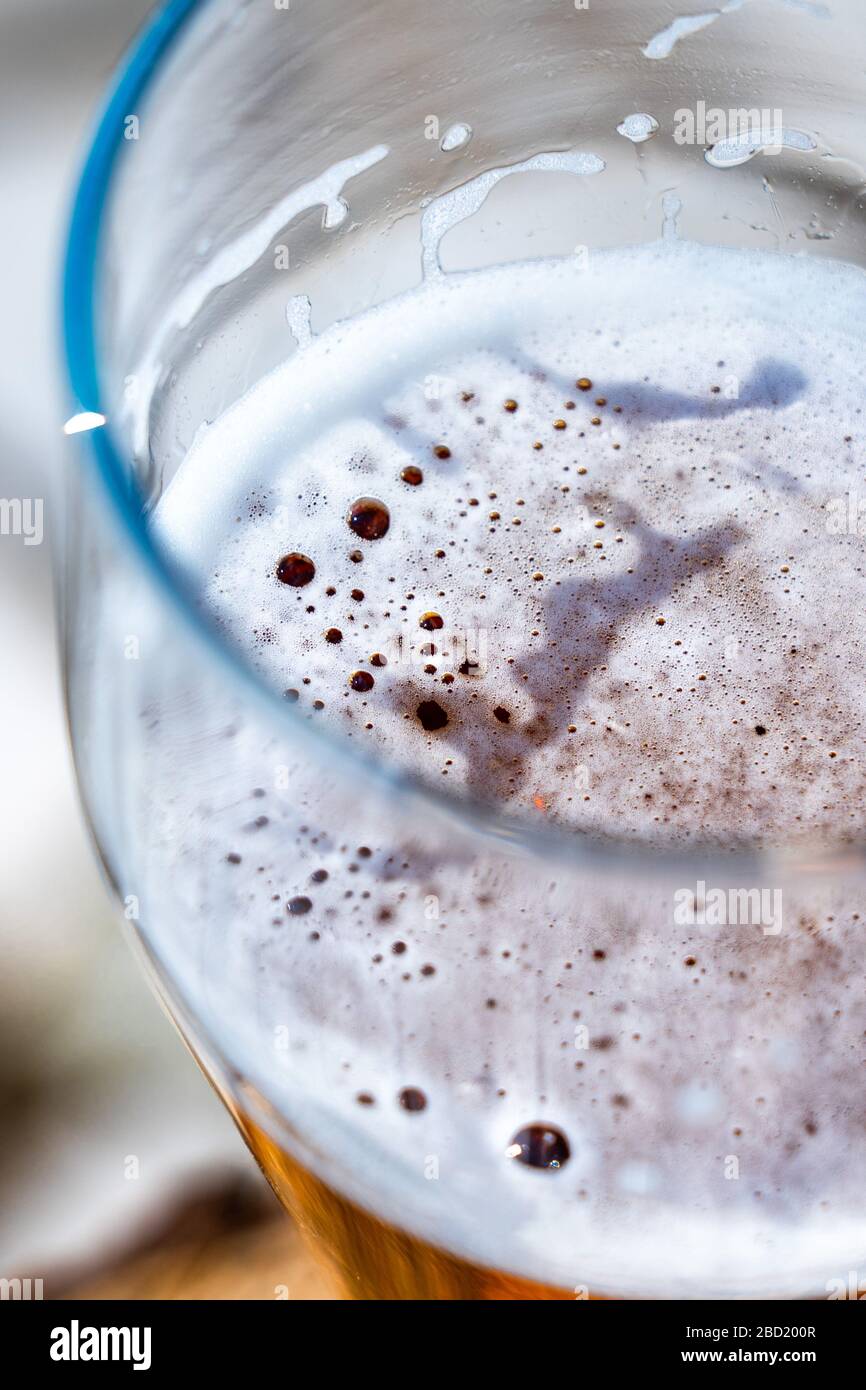 Helles Bier in einem Glas Weinglas bei einem Picknick auf der Natur Stockfoto