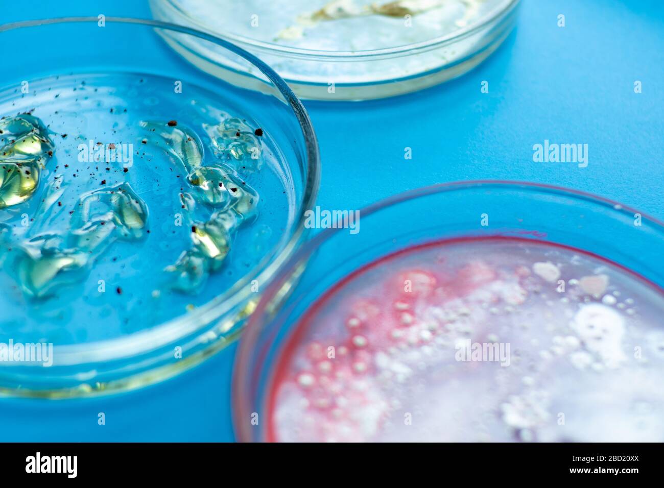 Epidemie und das Konzept des globalen Virusangriffs. Laboruntersuchungen verschiedener Proben. Virologie und Bakteriologie. Stockfoto