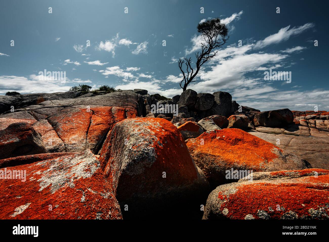 Flechten bedeckte Felsen an der berühmten Binalong Bay. Stockfoto
