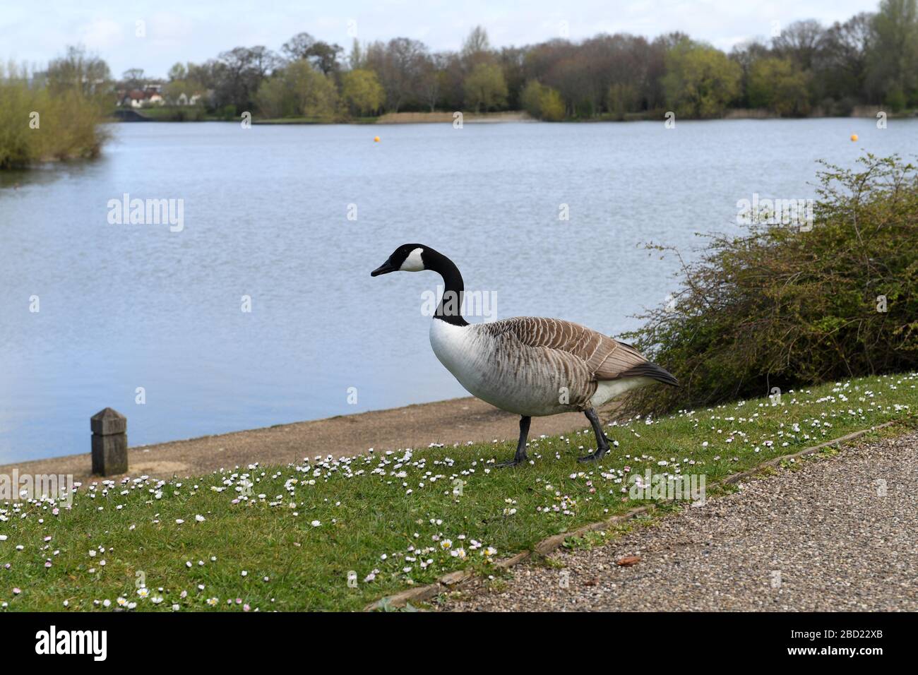 Milton Keynes Offices Business Stockfoto