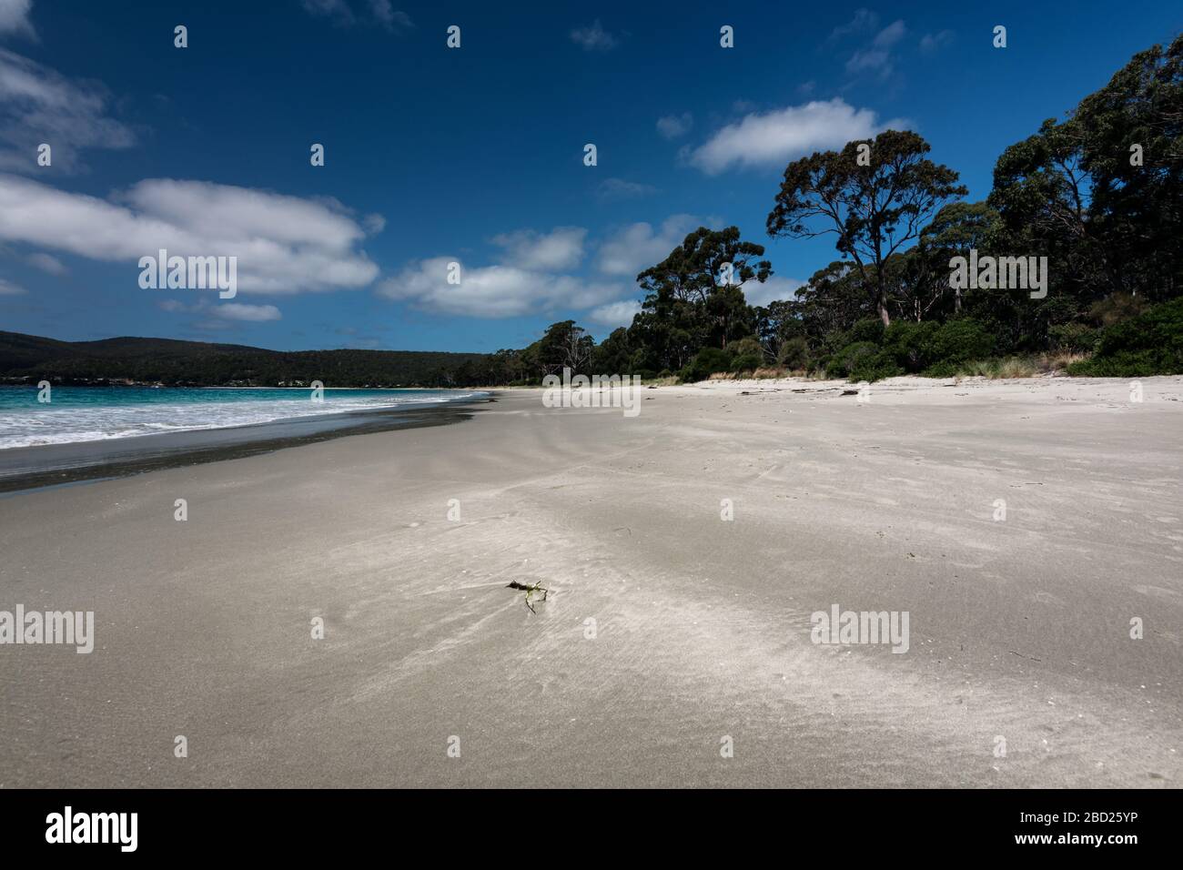 Wunderschöner Strand in Adventure Bay auf Bruny Island. Stockfoto